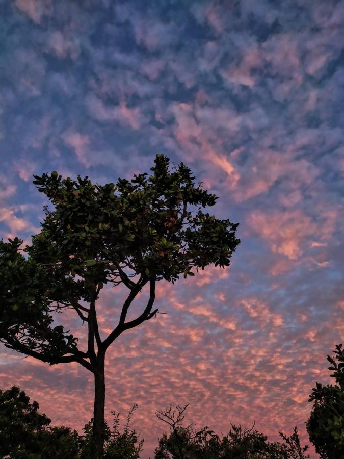 Alto Paraíso de Goiás Flats Aldeiaヴィラ エクステリア 写真